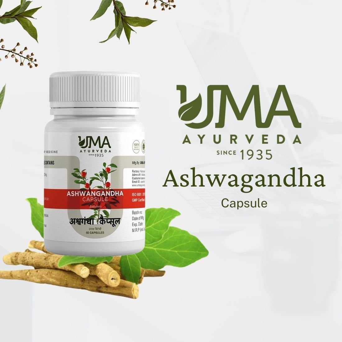 Unlocking the Power of Ashwagandha: A Holistic Approach to Wellness